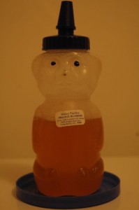 honey bear photographed in artificial light